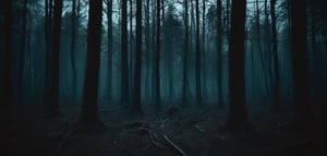 horror, black, forest, night, abandonated, 