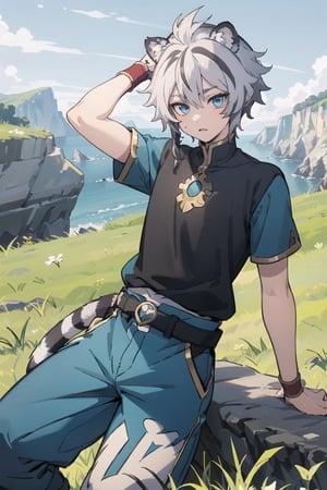 digital illustration, , FohlFayon, tiger boy, tiger tail, two-toned hair, white hair, black hair, tiger ears,, , hair, blue eyes, blue pants, blue shirt, cliffs, grass, ,FohlFayon,tiger boy, (de brazos cruzados) ,1boy,1guy, molesto, (castillo)