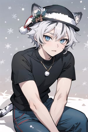 digital illustration, Fohl Fayon, tiger boy, tiger tail, two tone hair, white hair, black hair, tiger ears, hair, blue eyes, blue pants, blue shirt, (Christmas ), (boy's face), ((Christmas' hat), (Navidad)