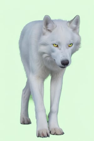 Pure White wolf, (((plane green background))) ,full body can be seen, (((four legs can be seen))),((going left)),((yellow eyes)),studio environment with controlled lighting ,dark environment , wolf tail can be seen ,4 legs