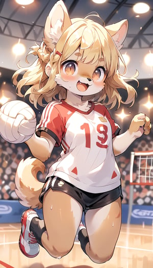  score_9_up, score_8_up, score_7_up,score_6_up,score_5_up,source_anime,masterpiece,best quality,illustration,cute,kawaii,1girl,solo,blonde hair,french_braid,dog ears,gradient brown eyes,On the Olympic stage,a girl playing volleyball. Her sporty posture and focused expression convey a strong determination to win.indoors,volleyball uniform,sweat,serious,(excited:1.1),open mouth,(furry:1.3),(jumping attack:1.3),bum_huggers