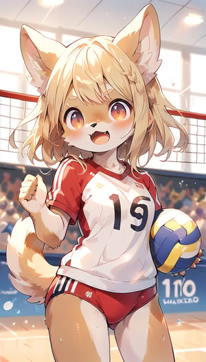  score_9_up, score_8_up, score_7_up,score_6_up,score_5_up,source_anime,masterpiece,best quality,illustration,cute,kawaii,1girl,solo,blonde hair,french_braid,dog ears,gradient brown eyes,On the Olympic stage,a girl playing volleyball. Her sporty posture and focused expression convey a strong determination to win.indoors,volleyball uniform,sweat,serious,(excited:1.1),open mouth,(furry:1.3),(Serving in volleyball:1.3),buruma,(very wide shot:1.3)