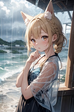 masterpiece,best quality,ultra detailed,highres,absurdres,illustration,cute,kawaii,BREAK 1girl,solo,dog ears,french braid,blonde hair,detailed and gradient brown eyes,(downpour:1.5),ootd,stunned look,(shock:1.3) BREAK outdoors,(rainy:1.3),heavy rainstorm,beach,ocean,okinawa,magnificent view,overlooking,