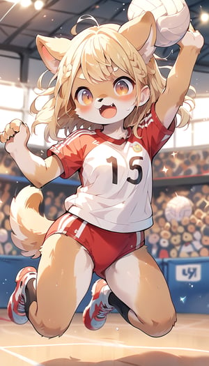  score_9_up, score_8_up, score_7_up,score_6_up,score_5_up,source_anime,masterpiece,best quality,illustration,cute,kawaii,1girl,solo,blonde hair,french_braid,dog ears,gradient brown eyes,On the Olympic stage,a girl playing volleyball. Her sporty posture and focused expression convey a strong determination to win.indoors,volleyball uniform,sweat,serious,(excited:1.1),open mouth,(furry:1.3),(high jumping attack:1.5),buruma