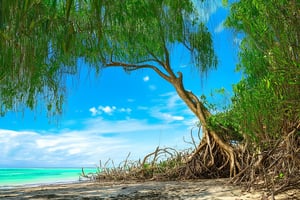 A majestic mangrove forest sprawls along the vibrant coastline of the Maya Riviera, with towering trunks and twisted roots tangled in a tapestry of emerald green. The warm sunlight filters through the dense foliage, casting dappled shadows on the sandy beach below, where a few wispy clouds drift lazily across the cerulean sky.