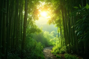 a lush bamboo forest, serene bamboo trees, detailed bamboo stalks and leaves, natural sunlight filtering through the bamboo, peaceful forest atmosphere, tranquil landscape, high quality, 8k, photorealistic, professional photography, vivid colors, warm lighting, cinematic composition, beautiful natural scenery