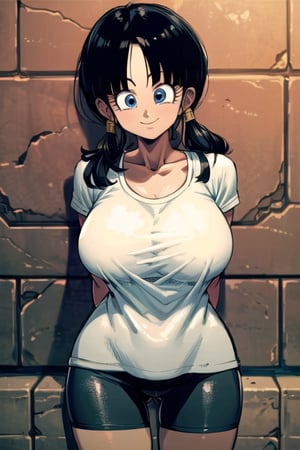 masterpiece, best quality, solo, 1girl, (arms behind back:1.1),brick wall,cowboy shot, ,looking at viewer,smile,gigantic_breast,sport bra, blue eyes, black hair,twintails, badge, white shirt, bike_shorts,videl2