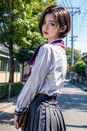 1girl, solo, looking at viewer, short hair, blue eyes, skirt, brown hair, shirt, black hair, long sleeves, closed mouth, school uniform, standing, purple eyes, pleated skirt, outdoors, sky, serafuku, looking back, sailor collar, bag, from behind, tree, neckerchief, building, scenery, long skirt, sign, road, power lines, street, utility pole, white neckerchief
