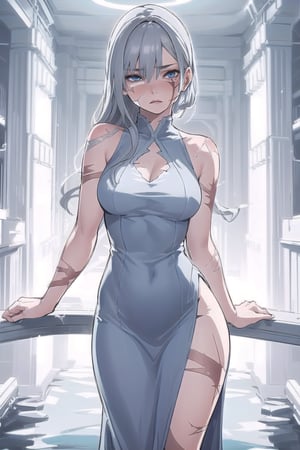 a woman with strong grayish blue eyes, long dark gray hair, light skin and some visible scars on her body and face. . She has a slender figure and usually dresses in an elegant dress, reflecting her elegant and calm but confident personality.