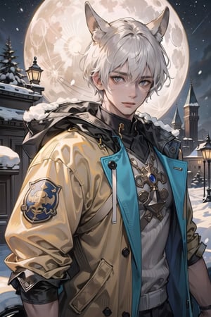 (Dark gray eyes, short hair), alphonse mucha, 8k, masterpiece, best quality, ultra detailed, highly detailed, perfect face, 1 man, short hair, white hair, yellow eyes (perfect male body), wearing a brown winter jacket, wearing an ushanka, dark colors, night, in the snow, moon stars in the sky,