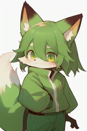 A simple kemono fox wearing green clothes