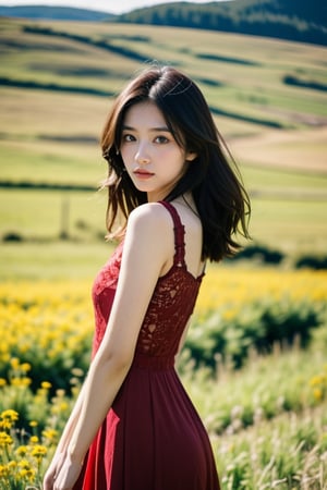 1girl,(red:1.4),sleeveless,lace-trimmed,see-through_dress,cowboy_shot,day,nature,in a meadow,high_res,ultra high res,best quality,raw photo,35mm f/1.4,film grainngk,,<lora:659111690174031528:1.0>