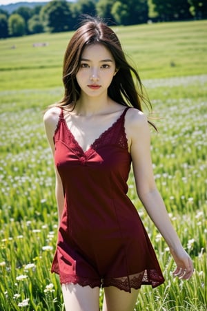 1girl,(red:1.5),sleeveless,lace-trimmed,see-through_dress,cowboy_shot,day,nature,in a meadow,high_res,ultra high res,best quality,raw photo,35mm f/1.4,film grainngk,,<lora:659111690174031528:1.0>