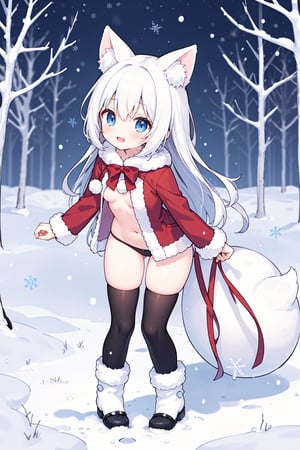 kemonomimi, white_hair, small_breasts, whole body, :), Winter_clothes, long_hair, blue eyes, park, falling_snow, albino_fox, stand , Santa , stadning