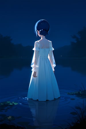 (score_9,score_8_up,score_7_up), morino rinze, 1girl, dark blue hair, single hair bun, dress, sundress, shirt sleeves, see-through sleeves, standing, outdoor, tress, river, night, backlighting, monochromatic