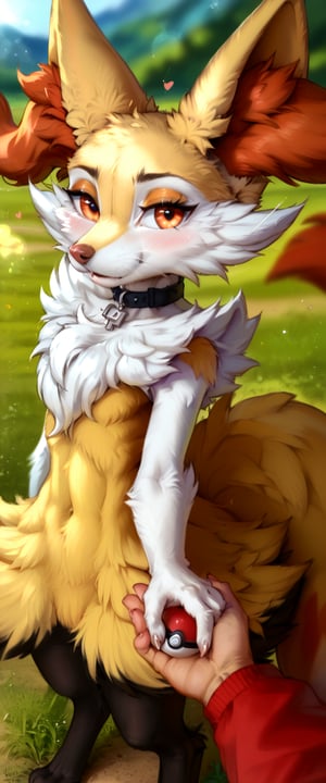 Prompt: score_9_up, score_8_up, score_7_up, score_6_up, score_5_up, source_furry, a semi-feral, digitigrade female braixen (pokemon), cute, skinny, lithe, slender, thin, fluffy fur, blushing, fluffy chest tuft, whiskers, fluffy tail, black collar, detailed fur,body fur, blush, hearts, ((/from above, from front, front view, bird's-eye_view/), facing viewer, pokeball, gorgeous, full_body, perfect hands, Shallow Depth of Field, lens 50mm f/2.0, (realistic fur, detailed fur texture:1.2), ((photorealistic) (RAW Photo)), key visual, vibrant, studio anime, highly detailed, high quality photography, 3 point lighting, flash with softbox, 4k, Canon EOS R3, hdr, smooth, sharp focus, high resolution, award winning photo, 80mm, f2.8, bokeh, realistic, hyper-realistic, photo, BraixenPXL, black legs, white arms, headpat, pov hands, blush, hearts, beautiful long eyelashes, perfect eyelashes, top of a hill, outdoors,  wilderness, holding hands, solo focus, full_body,from side