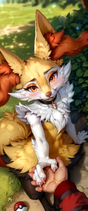 Prompt: score_9_up, score_8_up, score_7_up, score_6_up, score_5_up, source_furry, a semi-feral, digitigrade female braixen (pokemon), cute, skinny, lithe, slender, thin, fluffy fur, blushing, fluffy chest tuft, whiskers, fluffy tail, black collar, detailed fur,body fur, blush, hearts, ((/from above, from front, front view, bird's-eye_view/), facing viewer, pokeball, gorgeous, full_body, perfect hands, Shallow Depth of Field, lens 50mm f/2.0, (realistic fur, detailed fur texture:1.2), ((photorealistic) (RAW Photo)), key visual, vibrant, studio anime, highly detailed, high quality photography, 3 point lighting, flash with softbox, 4k, Canon EOS R3, hdr, smooth, sharp focus, high resolution, award winning photo, 80mm, f2.8, bokeh, realistic, hyper-realistic, photo, BraixenPXL, black legs, white arms, headpat, pov hands, blush, hearts, beautiful long eyelashes, perfect eyelashes, top of a hill, outdoors,  wilderness, holding hands, solo focus, full_body,from side