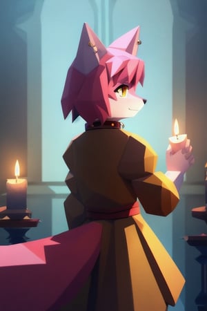 solo, young, kemono fox, yellow body and countershading, anthropomorph, pink hair, pink tail, small breats, yellow eyes, writing with a feather, wear medieval dress, have slave collar, have piercings, back view, background, shadow, candle light, reflected light on the body, backlighting,masterpiece, shaded, high detail, low poly res, low poly style