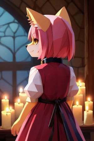 solo, young, kemono fox, yellow body and countershading, anthropomorph, pink hair, pink tail, small breats, yellow eyes, wear medieval dress, have slave collar, have piercings, back view, background, shadow, candle light, reflected light on the body, backlighting,masterpiece, shaded, high detail, low poly res, low poly style