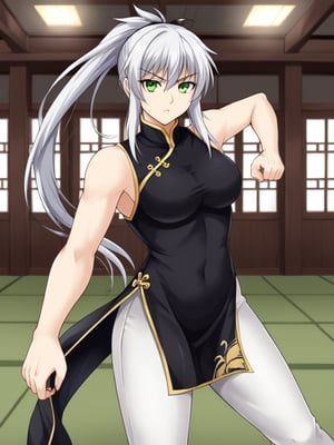 1girl, solo, anerrolange, white hair, ponytail, green eyes, chinese clothes, black qipao, white pants, indoors, standing, fighting stance, looking at viewer, serious, parted lips