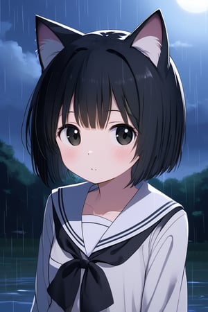 最佳质量,杰作,高质量,animal_ears,1girl,black_hair,sailor_collar,solo,short_hair,cat_ears,school_uniform,serafuku,black_sailor_collar,upper_body,rain,shirt,white_shirt,long_sleeves,night,closed_mouth,scenery,bangs,