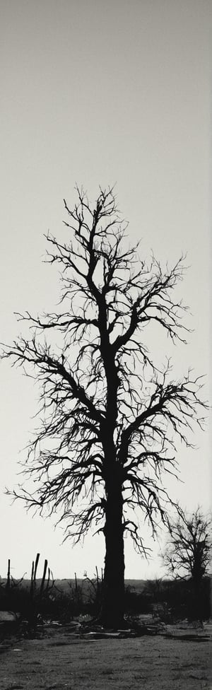 {{{masterpiece}}}, best quality, {{top quality}}, black vector by ansel adams image of a dead tree in a graveyard, nankin drawing of a dead tree (multiple dead branches), Use only black color to convey melancholy, vector