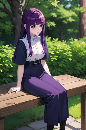 1girl, fern, purple hair, (blunt bangs:1.2), long hair, half body shot,

sitting