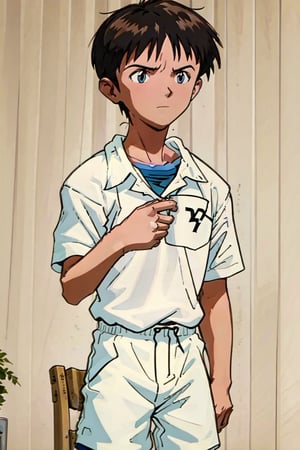 1boy,male, standing,fitted t-shirt,white round neck fitted t-shirt,white shorts,Soccer Shoes, (masterpiece, best quality), top quality, top resolution, sharp image, perfect details, perfect lighting, perfect shadows, perfect lighting, glowing skin,Shinji Ikari

,shinji