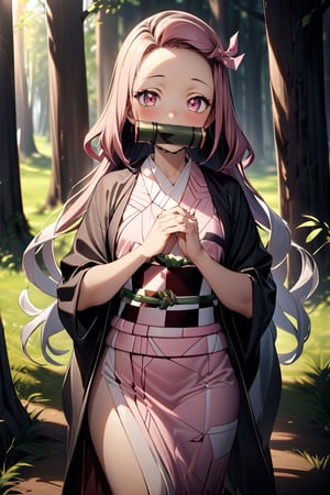 masterpiece, best quality, 1girl, multicolored hair, pink kimono, bit gag, checkered sash, looking at viewer, standing, in forest, perfect light, long hair, hands away,