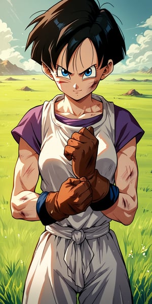 Videl, 1girl, blue eyes, shadows, blue eyes, short hair, masterpiece, best quality,  absurdres, perfect lighting, score_9, score_8_up, score_7_up source_anime, gloves, field, scratches, light smile, fighter pose, 