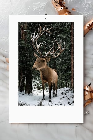 ek_photo_booster, reindeer in a snowy forest, winter, masterpiece, best quality, high resolution
