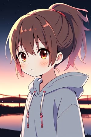 anime, dark late night, 1girl, facing towards at the skies alone, absurdres, a cute and adorable female child, 14 years old, black brown ponytail hair, small hoodie, upper body shot, best quality,best quality