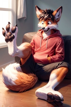 shocked, anthro, fox. wearing red hoodie, sitting on floor, holding one foot up,red fur, white soles,, red paws, paw pads, black paw pads, animal feet, claws, Furry_feet,mid transformation