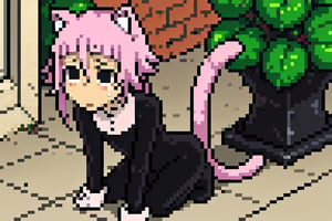 crona_soul_eater,pink hair,black eyes,Pixel art,blushing,cat_ears,cat_tail,full_body,teary_eyed