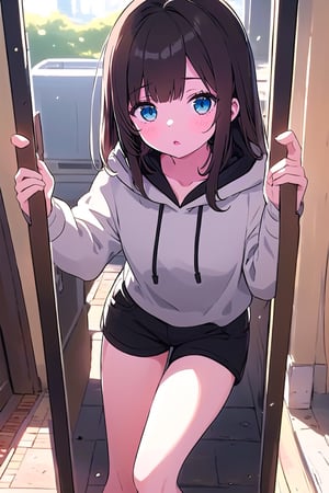 1girl, selfie, Instagram selfie, super long and soft and silky dark brown hair, dark blue eyes, 3 foot long dark brown hair, full black drawstring hoodie, black shorts, pastelbg