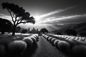 black and white realistic photo, california hill country,   very large rustic stone built spanish mission san jose in the background, detail and vibrant, barroque style, 8k, sunrise,3D, Masterpiece, black and white, infrared exposure, two thirds rule of photography, adam ansel style, cumulus clouds, hills and eucalyptustree, medium perspective, sunlight rays shining through eucalyptus tree, mysterious, SDxl, offset focus, perspective at 33 degrees, realistic eucalyptus trees and leaves, feng shui style, image subjects are balanced