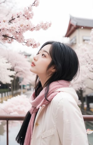 sam yang,1girl, bird, black eyes, black hair, blurry, blurry background, cherry blossoms, lips, long-tailed tit, looking up, medium hair, profile, scarf, solo, tit (bird), ((masterpiece))