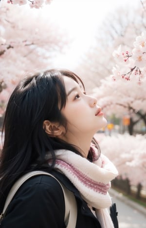 sam yang,1girl, bird, black eyes, black hair, blurry, blurry background, cherry blossoms, lips, long-tailed tit, looking up, medium hair, profile, scarf, solo, tit (bird), ((masterpiece)),keer