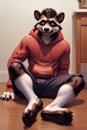 shocked, anthro, raccoon, transformation, showing feet to the viewer, looking shocked at feet, wearing red hoodie, sitting on floor,hands visible,black fur, fully padded feet, leathery soles,animal feet, claws, Furry_feet