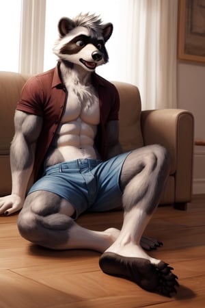 surprised,anthro, raccoon, transformation, long toes,narrow feet,ripped clothing,showing his feet, barefoot, fully padded feet, black leathery soles, animal feet, claws, Furry_feet, sitting on floor,gray fur,normal hands