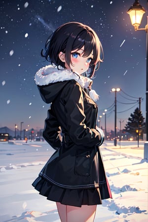 Cute, kawaii, anime, 1 girl, super cute, Blushing, cold, black short hair, winter coat, skirt, blue eyes, medium breasts, small ass, outside, night, winter, cold, windy, snowing, night time, night, looking_at_viewer, facing viewer, face focus, red nose, standing, 