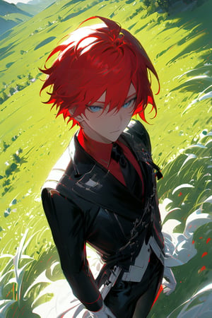 1 boy, alone, short hair, red hair, pixie cut, bangs, ahoge, gray eyes, expressionless, black suit, black tie, black jacket, white vest, red shirt, black pants, white gloves, decorated clothes, perfect light, hills, green grass,niji5, from above