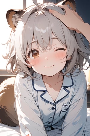 //quality, masterpiece:1.4, detailed:1.4,best quality:1.4,//,1girl,solo,//,raccoon girl,gray raccoon ears,gray raccoon tail, animal ear fluff,gray hair, messy hair,ahoge, medium hair, brown eyes,detailed eyes,//,hair_accessories,accessories,pajamas,//,blushing, smile,closed_mouth,one_eye_closed,//,on bed,(spoken heart),heart,//,indoor,dark background, bedroom,face focus,headpat, pov hands,pov,pov girl hand, pov hand with white sleeves 