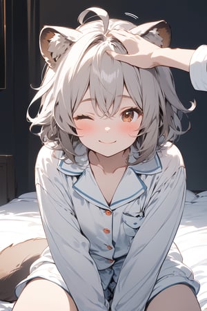 //quality, masterpiece:1.4, detailed:1.4,best quality:1.4,//,1girl,solo,//,raccoon girl,gray raccoon ears,gray raccoon tail, animal ear fluff,gray hair, messy hair,ahoge, medium hair, brown eyes,detailed eyes,//,hair_accessories,accessories,pajamas,//,blushing, smile,closed_mouth,one_eye_closed,//, sitting on bed,(spoken heart),//,indoor,dark background, bedroom,face focus,headpat, pov hands,pov,pov girl hand, pov hand with white sleeves 