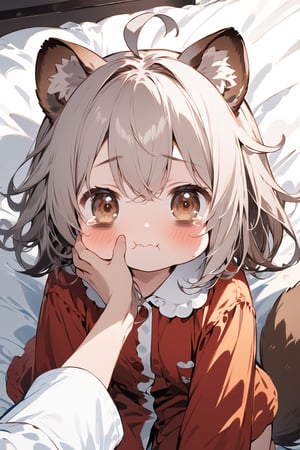 score_9, score_8_up, score_7_up,//quality, masterpiece:1.4, detailed:1.4,best quality:1.4,//,1girl,solo,//,raccoon girl,gray raccoon ears,gray raccoon tail, animal ear fluff,gray hair, messy hair,ahoge, medium hair, brown eyes,detailed eyes,//,hair_accessories,accessories,pajamas,//,blush,hold back one's tears, wavy_mouth,bags_under_eyes,(bags under eyes),//,kneeling on bed,//,indoor,dark background, bedroom,face focus,chibi,tearing up,cheek pinching, pov hands,pov,(pov girl hand),pov hand with white sleeves,from_above,pov girl hand holding cheek,(puffy cheeks),cheek squash, hands on another's face, hands on another's cheeks, solo focus,comfyblanket, white blanket 