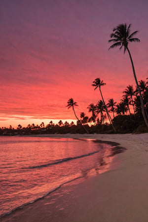 Red sky at night sailors delight, beach with palm trees