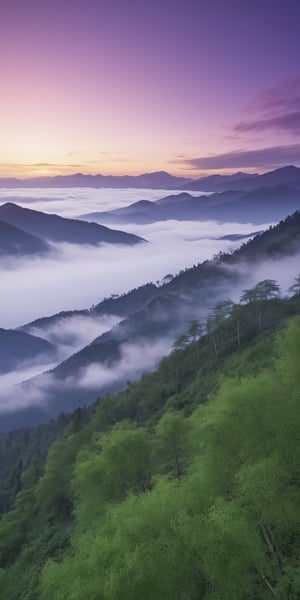 Magnificent landscape of beautiful mountains, morning sunrise with fog, round clouds on the mountains, purple dawn sunrise, pleasant atmosphere, stunning details, bamboo forest on both sides, Unreal Engine 5, Ultra HD, 8k, intricate, masterpiece