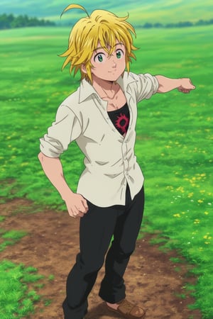 meliodas_nanatsu_no_taizai, blonde hair, green eyes, solo, male, full body, depth of field, white shirt, black pants, chest in sight, smile, 