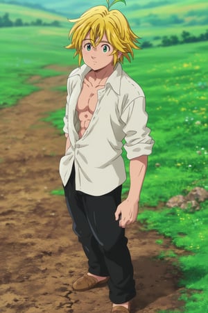 meliodas_nanatsu_no_taizai, blonde hair, green eyes, solo, male, full body, depth of field, white shirt, black pants, chest in sight