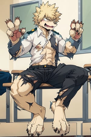 furry, 1boy, Katsuki_Bakugo, (transformation1), Furry_feet, male, muscle, classroom, torn clothes, uniform, angry, man to cat, 